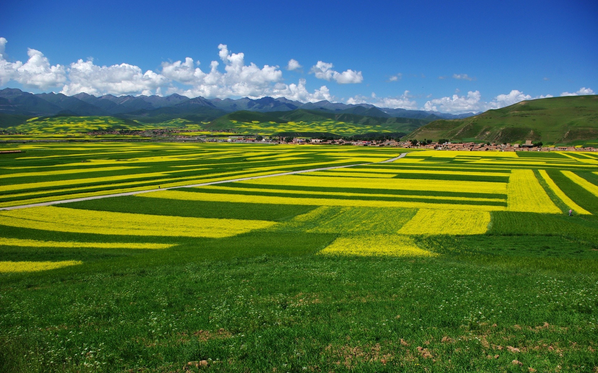 landscapes landscape grass field nature hayfield rural sky countryside summer agriculture hill outdoors country farm scenic sight grassland soil pasture