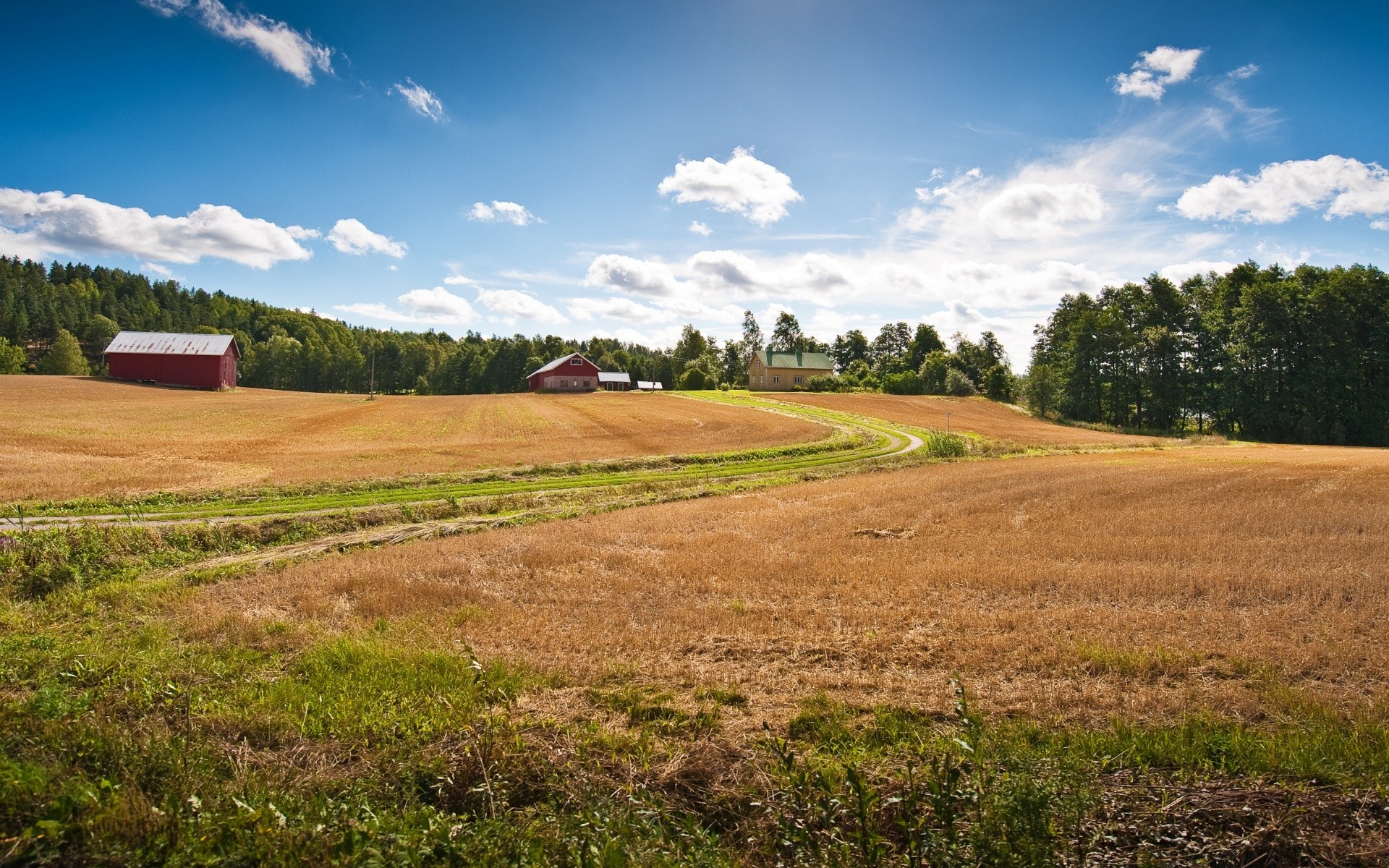 landschaft landschaft landwirtschaft bauernhof feld himmel landschaft ländlich bebautes land im freien baum gras tageslicht heuhaufen natur boden weizen weide landschaftlich sommer