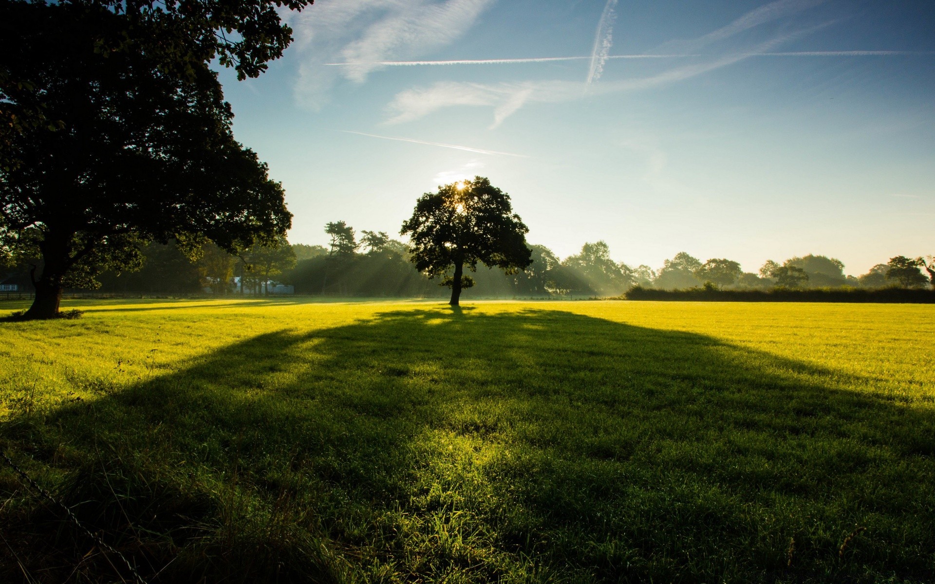 paesaggio paesaggio erba campo albero fieno agricoltura natura campagna rurale fattoria cielo orizzonte suolo sole all aperto estate bel tempo nuvola pascolo