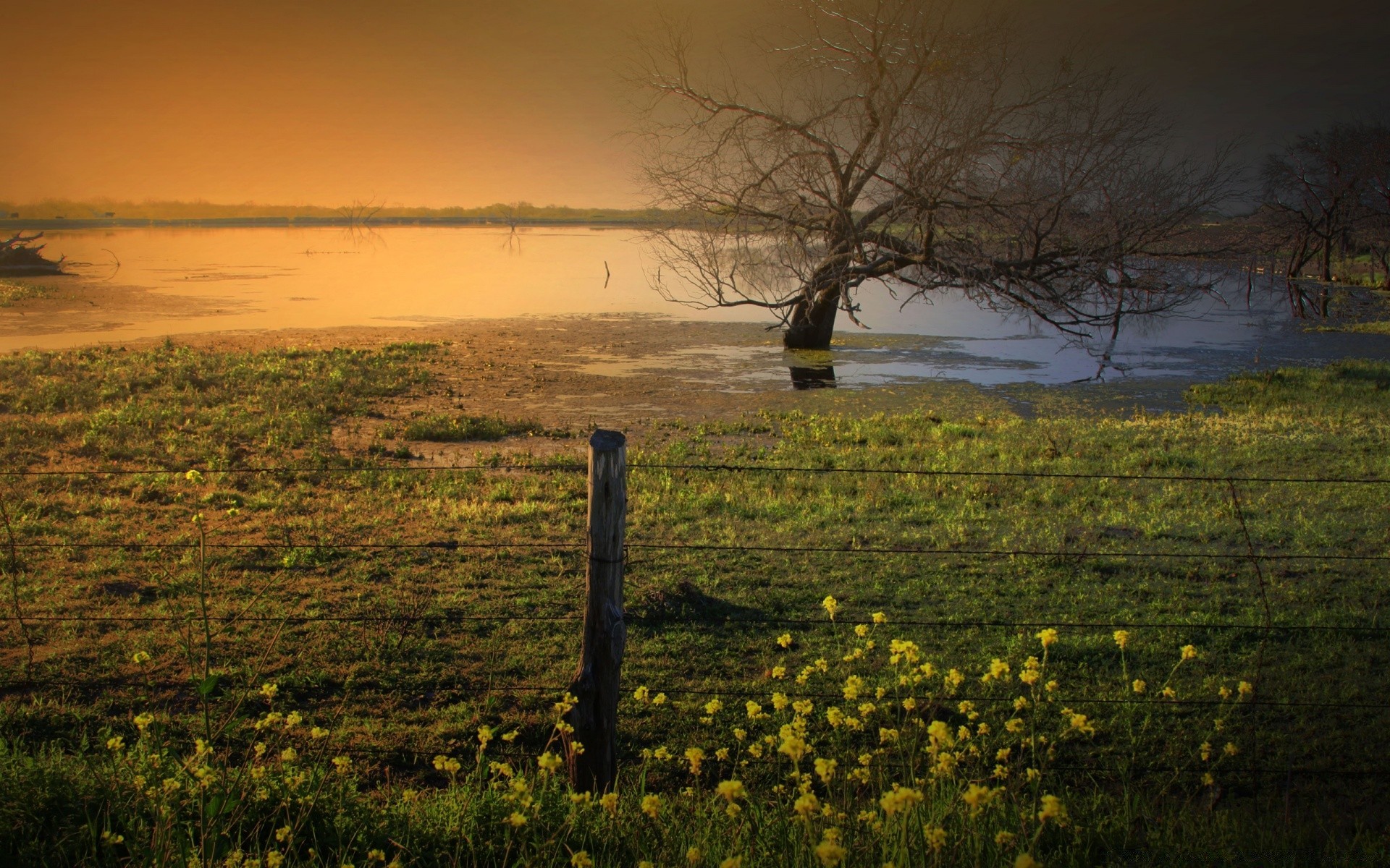 paesaggio paesaggio alba tramonto acqua albero nebbia nebbia lago sera natura fiume riflessione luce marcia cielo crepuscolo all aperto autunno erba