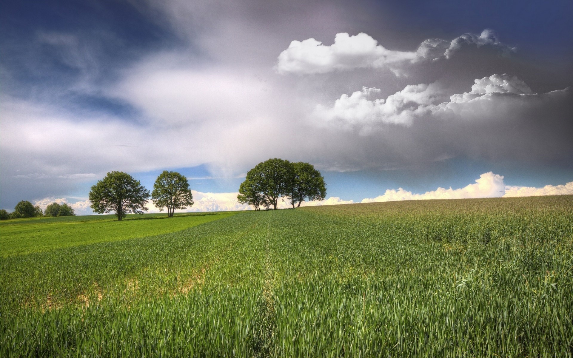 landscapes landscape nature grass sky field rural countryside summer agriculture pasture outdoors cloud hayfield farm fair weather idyllic sun horizon