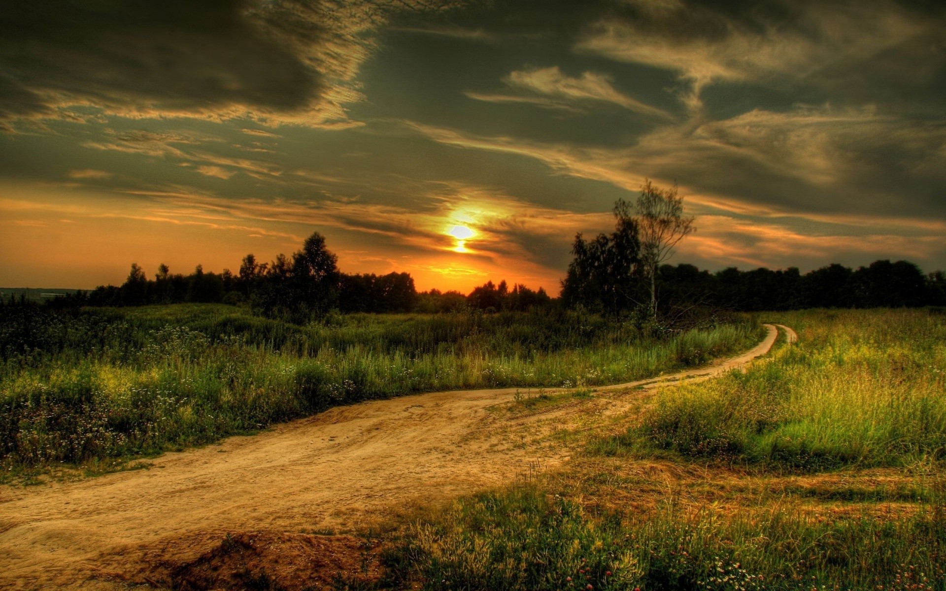 paisaje puesta de sol paisaje naturaleza amanecer cielo sol hierba árbol rural noche campo al aire libre campo buen tiempo nube