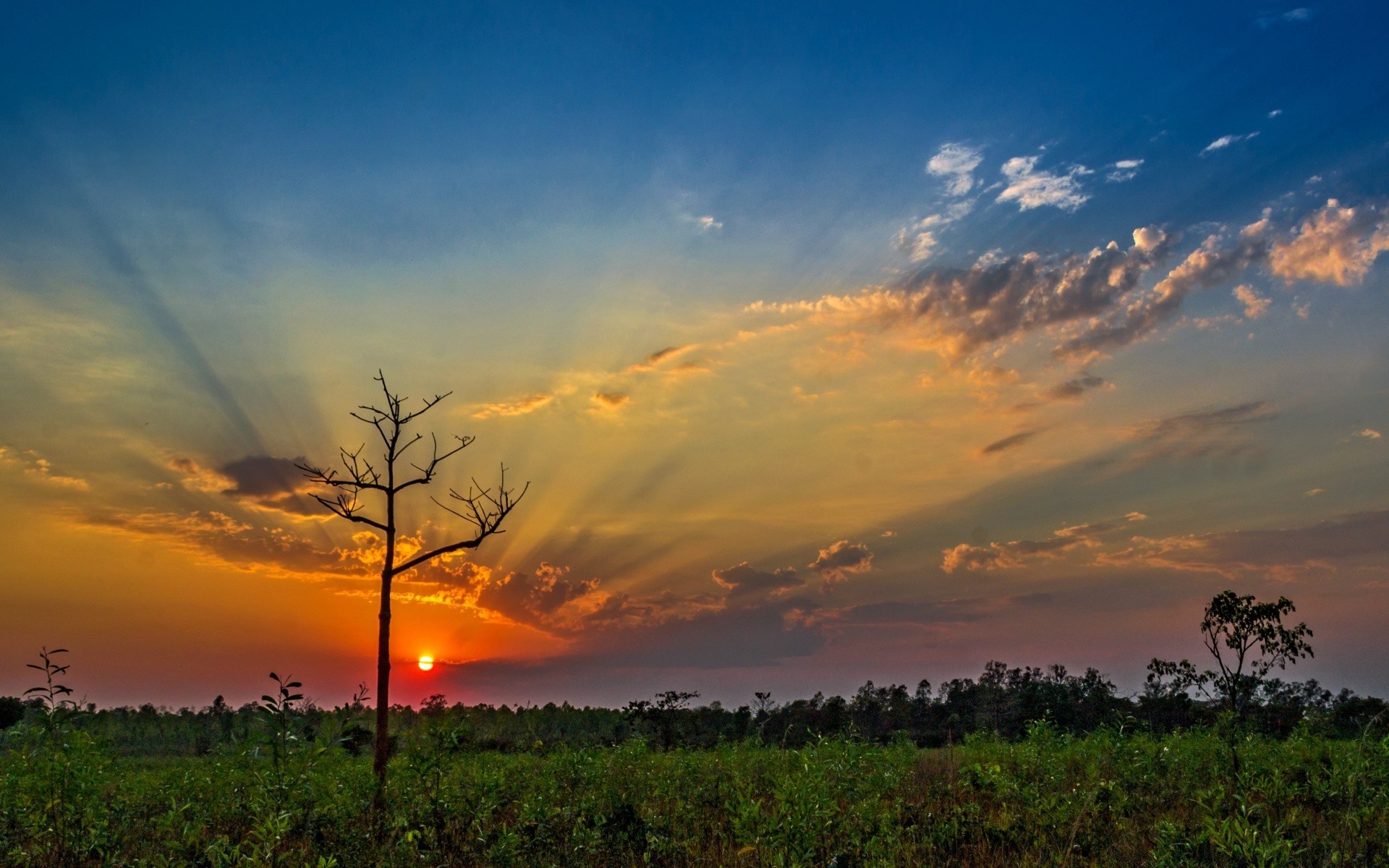 paesaggio tramonto alba cielo sole paesaggio sera natura all aperto crepuscolo bel tempo albero