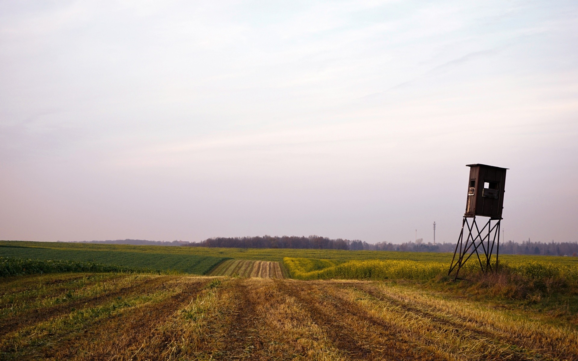 landscapes landscape cropland agriculture field sunset farm outdoors sky dawn daylight grass tree grassland countryside