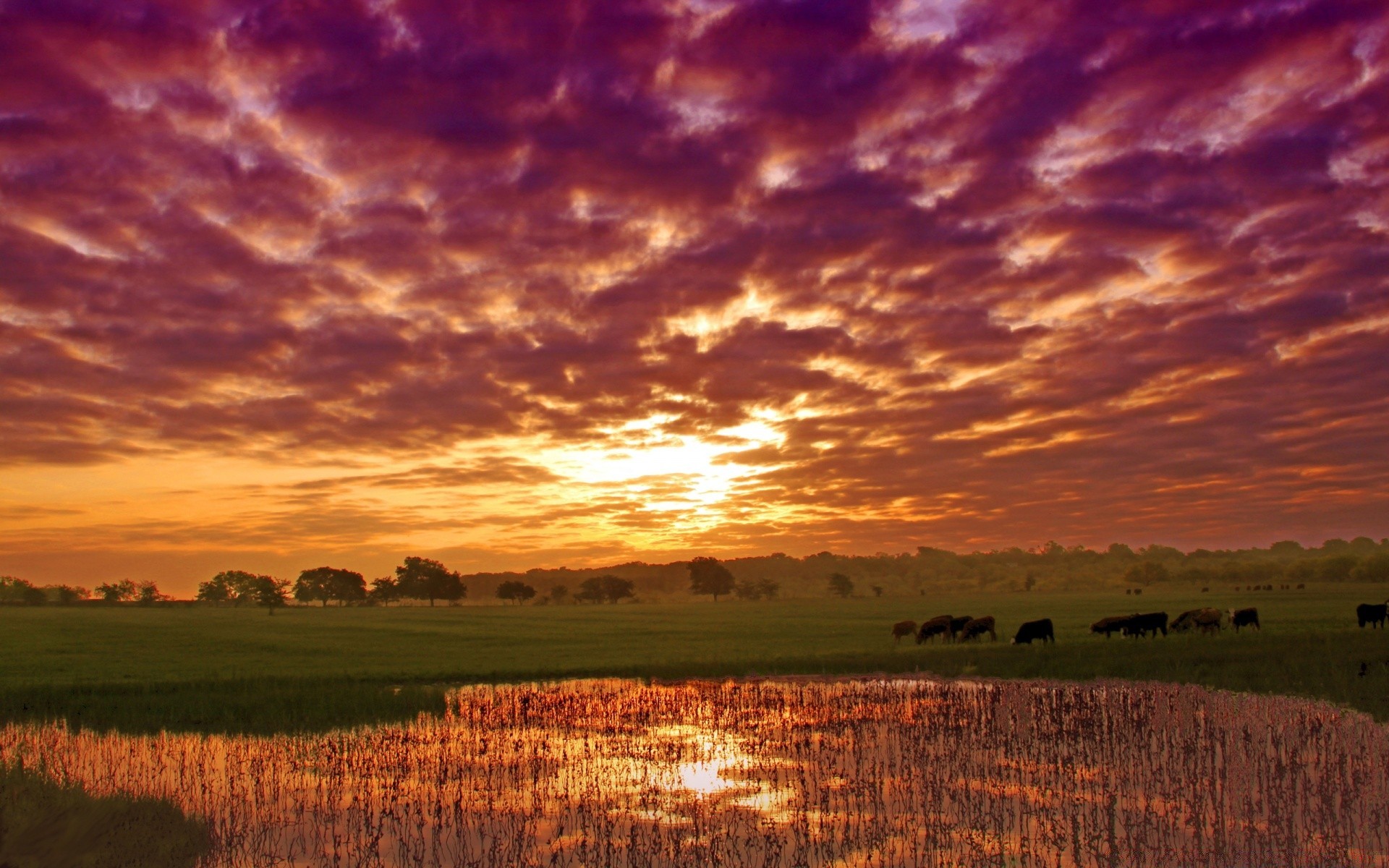 paisaje naturaleza puesta de sol al aire libre cielo amanecer paisaje sol buen tiempo noche crepúsculo rural verano campo árbol brillante