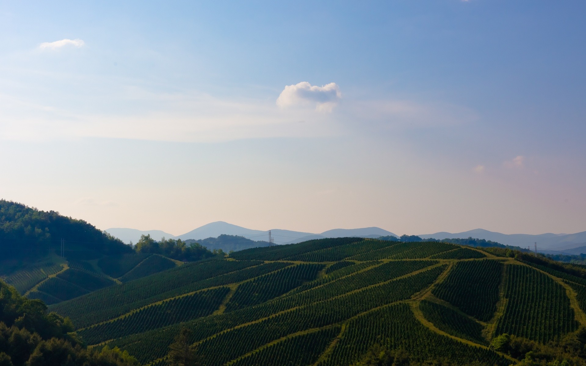 landscapes landscape travel mountain cropland hill agriculture fog tree outdoors sky nature daylight farm valley scenic light wood