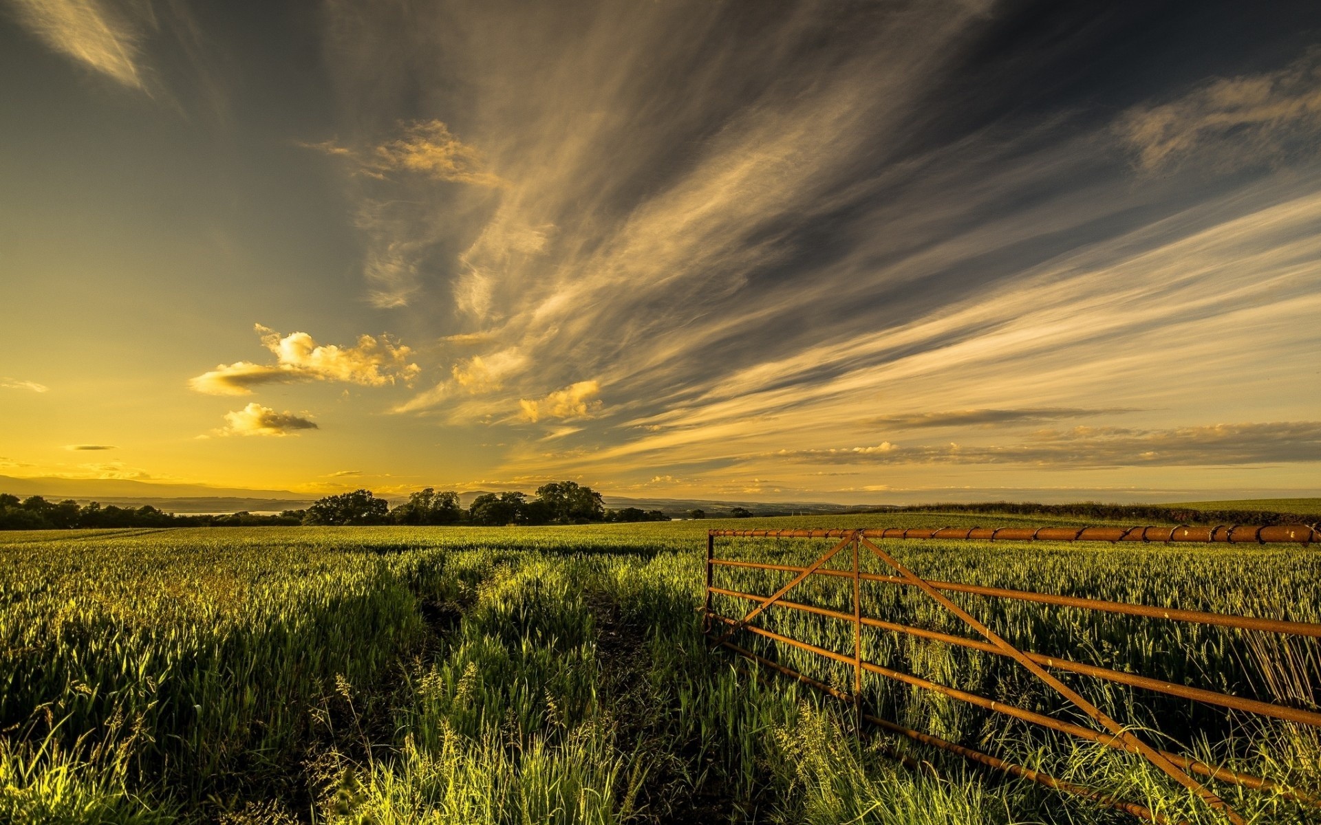 paesaggio tramonto agricoltura paesaggio cielo natura terra coltivata rurale alba campo campagna fattoria sole mais all aperto pascolo raccolto sera cereali bel tempo