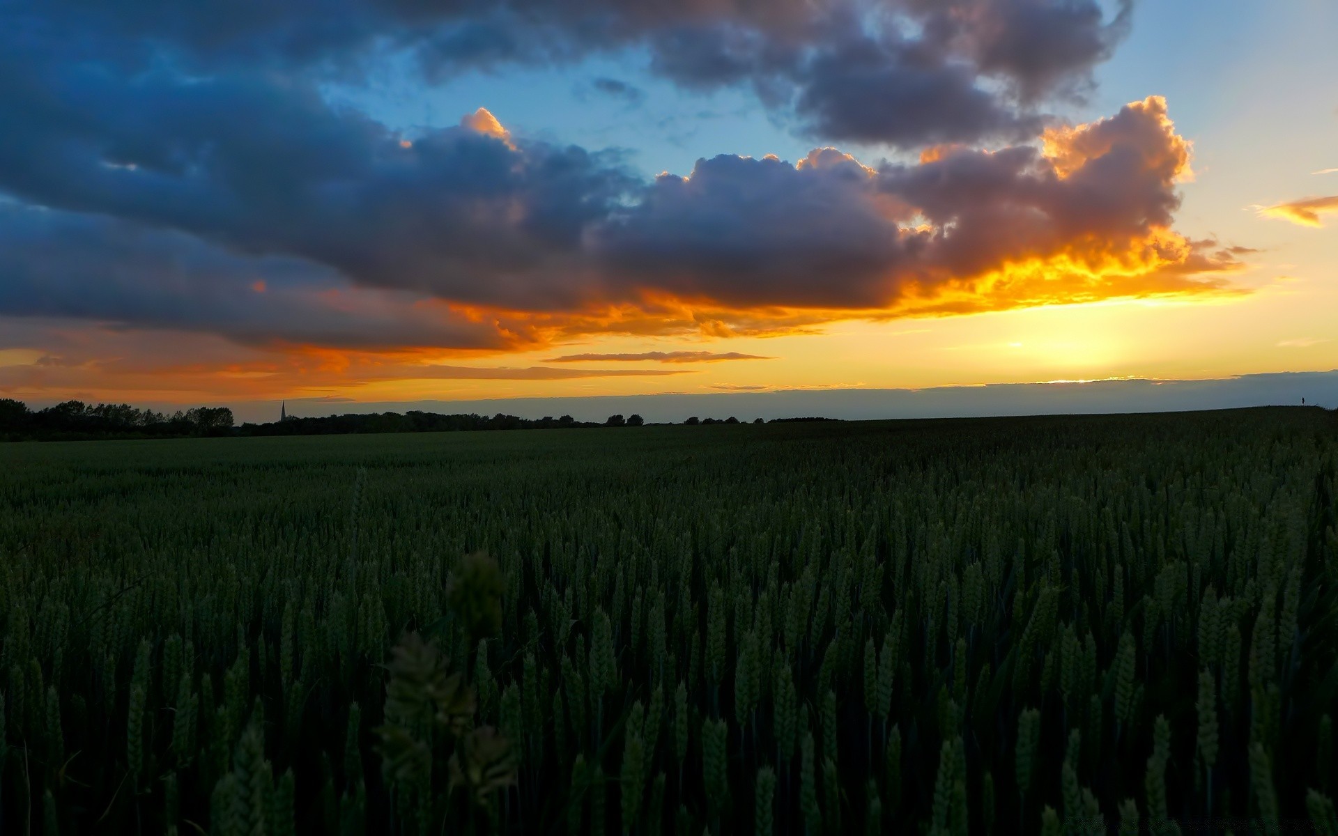 landscapes sunset dawn landscape nature rural outdoors sky agriculture sun countryside cropland field summer fair weather evening grass cereal farm pasture