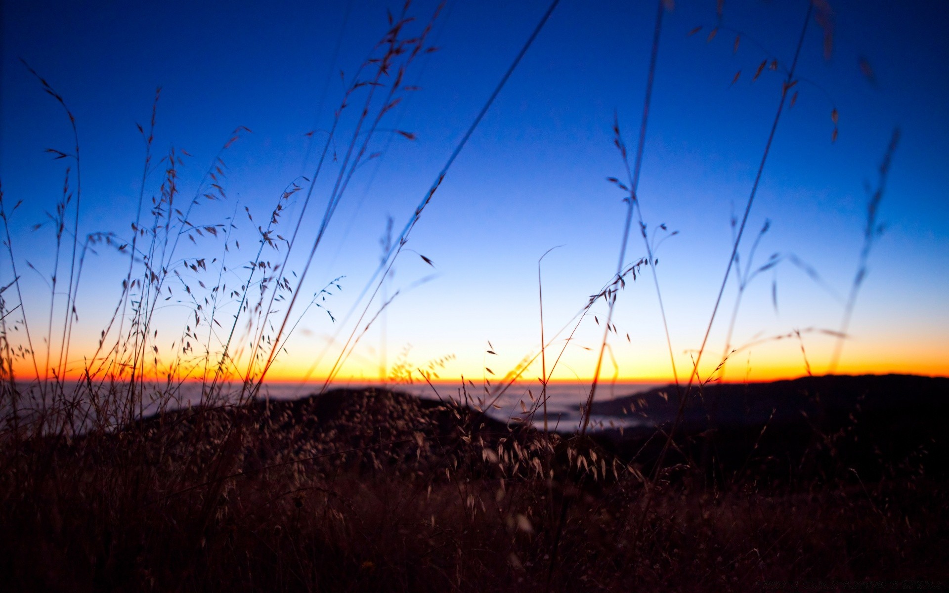 landscapes sunset landscape evening sky light dawn sun silhouette dusk nature field grass soil