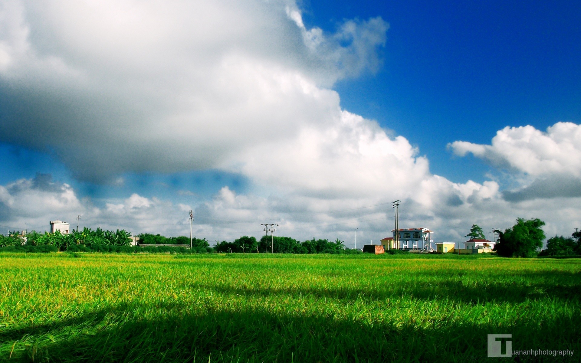 landscapes agriculture rural sky farm field nature countryside pasture outdoors landscape grass farmland summer environment industry