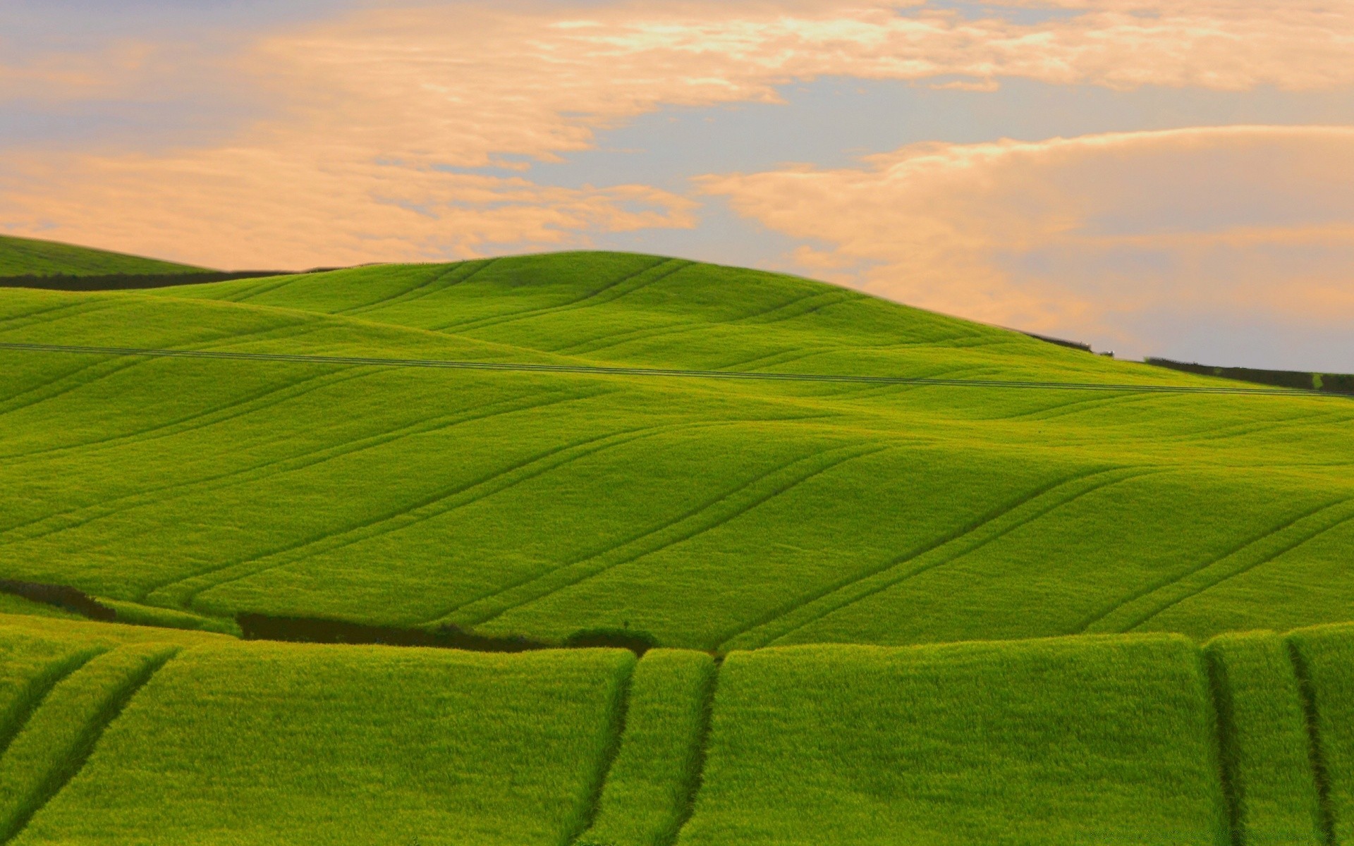 landscapes grass countryside landscape nature outdoors rural field summer cropland growth dawn sky farmland agriculture pasture golf