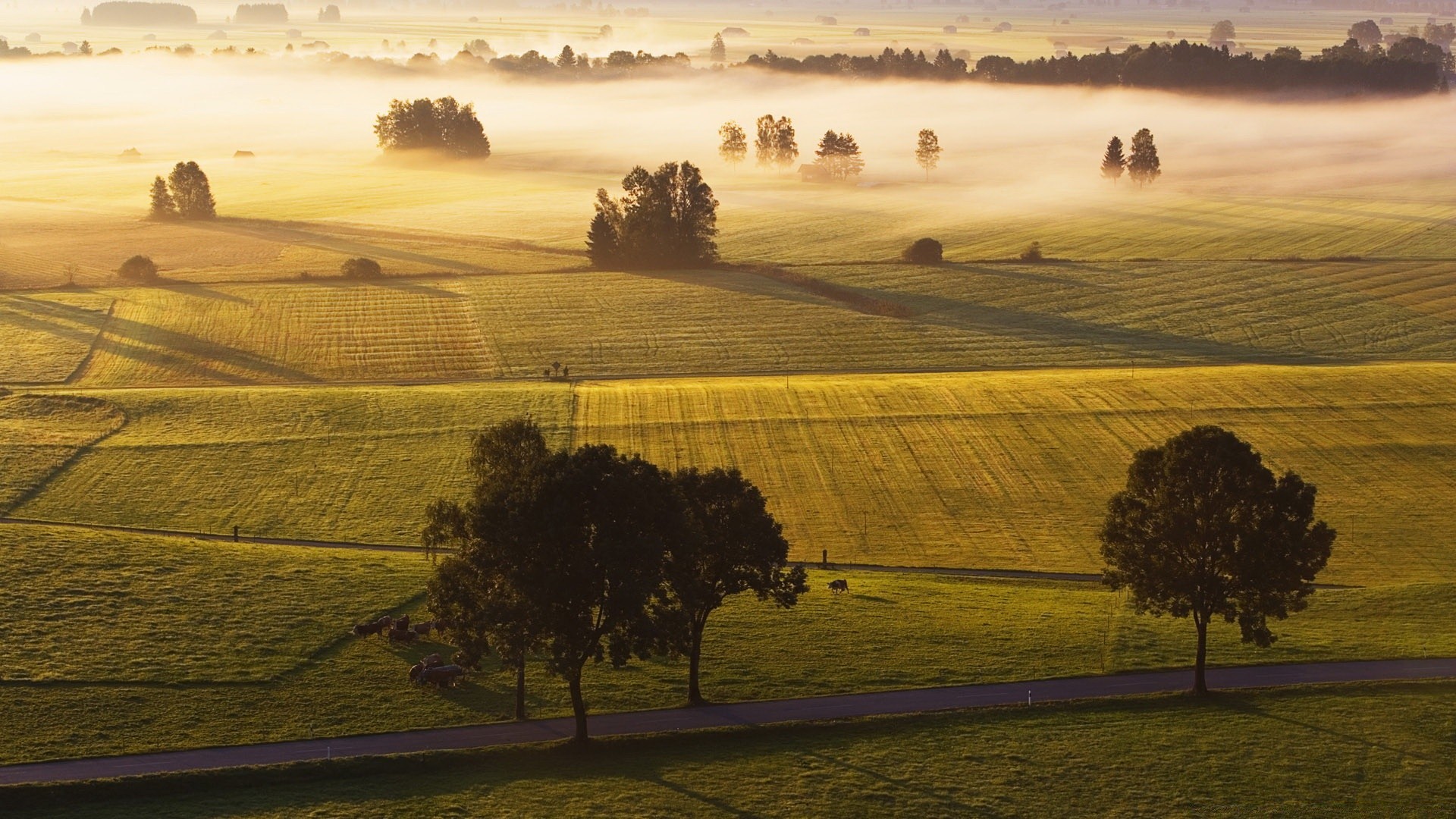 paisaje paisaje puesta de sol amanecer noche árbol tierra cultivada colina agricultura campo al aire libre granja pastoral luz cielo escénico viajes ciprés sombra naturaleza