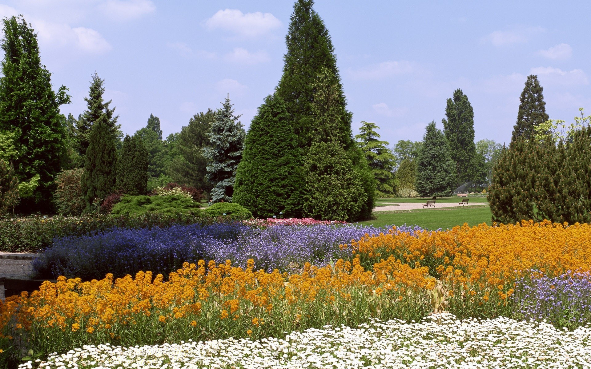 krajobrazy kwiat krajobraz na zewnątrz ogród lato natura drzewo flora sceniczny sianokosy sezon park światło dzienne trawa bluming kolor wzrost dobra pogoda trawnik