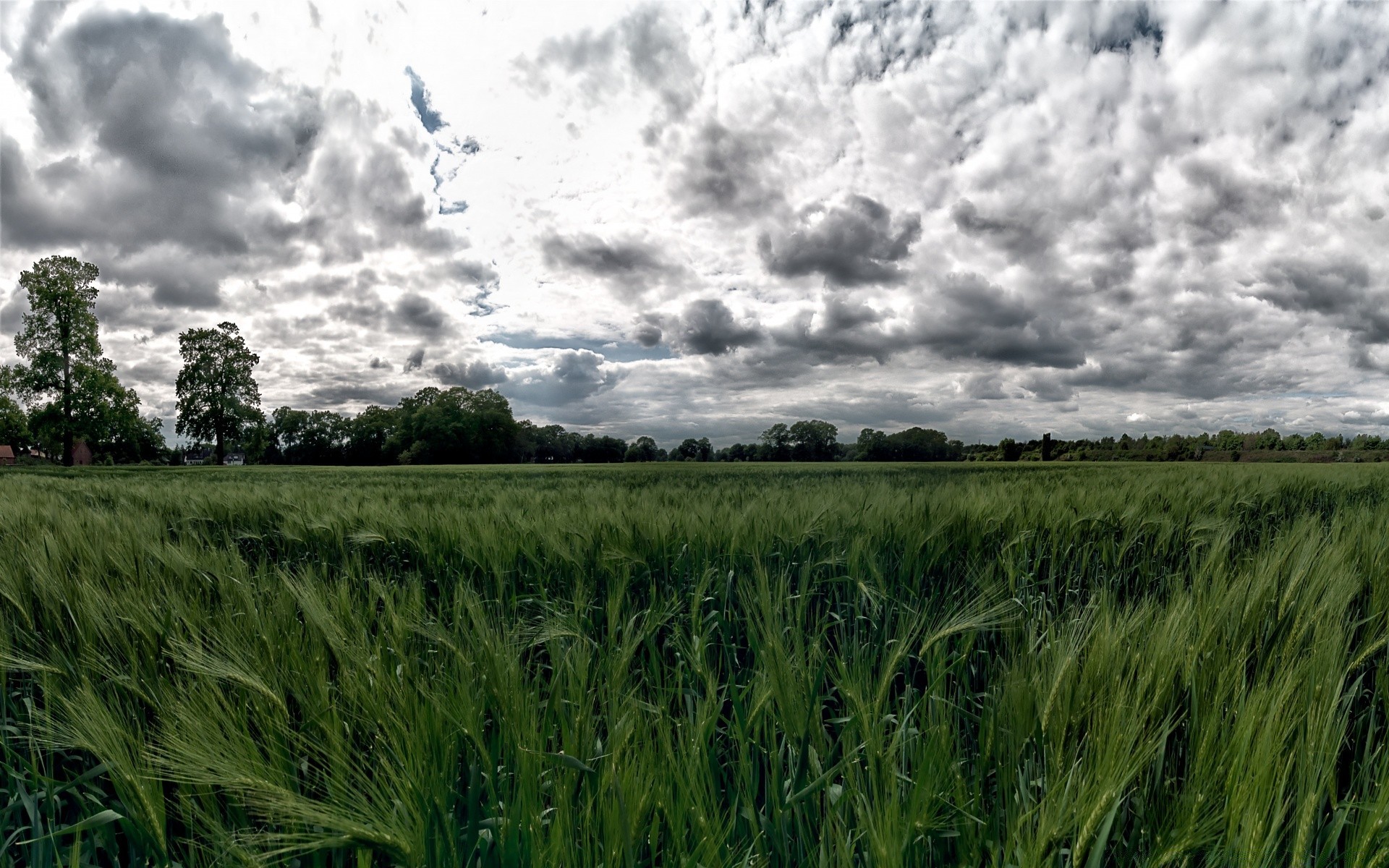 landschaft landwirtschaft flocken bauernhof feld des ländlichen landschaft weizen ernte mais weide landschaft wachstum natur sommer im freien himmel land wolke gras