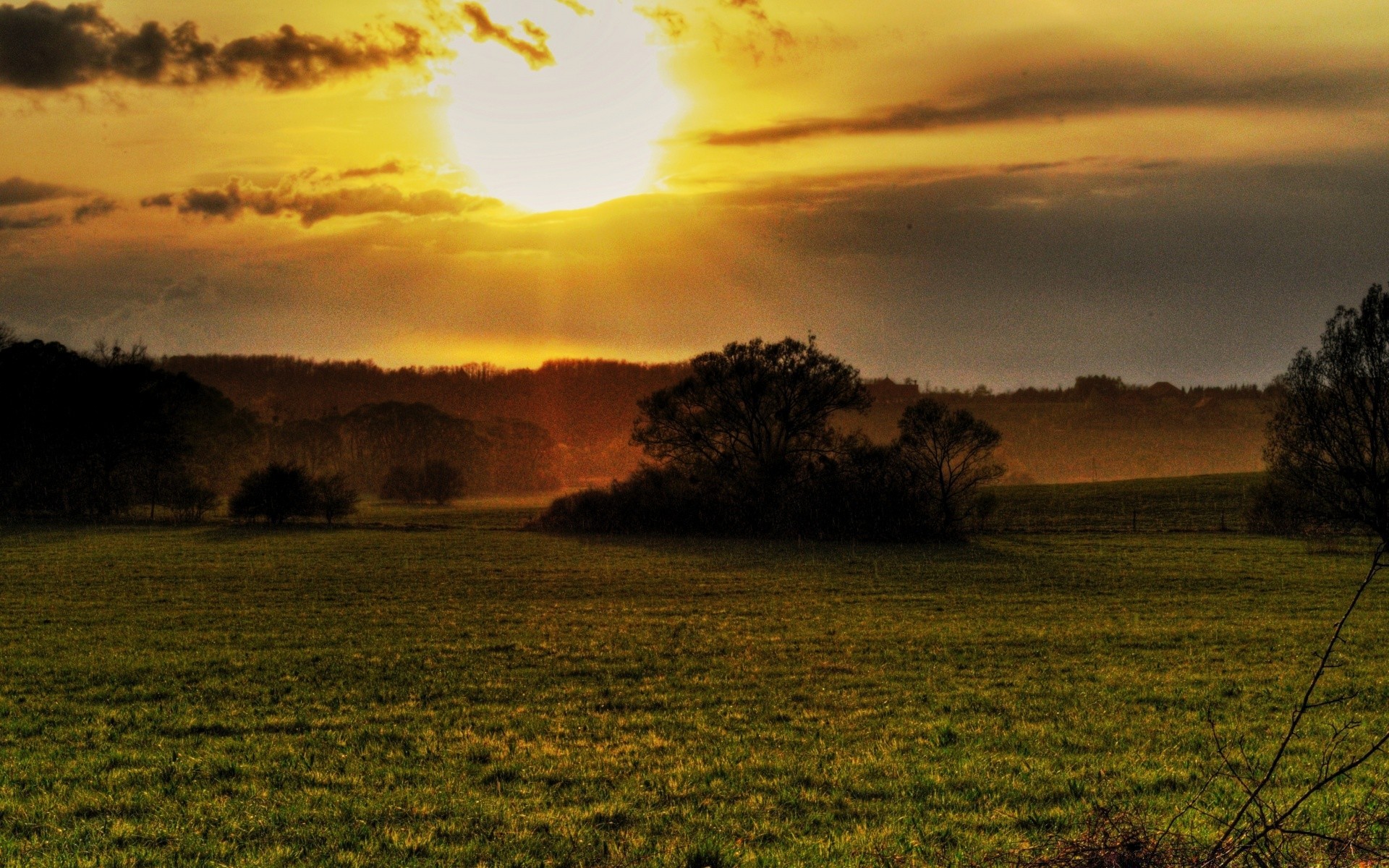 landscapes sunset dawn landscape sun nature tree evening sky fair weather outdoors dusk fall backlit grass fog summer light dramatic