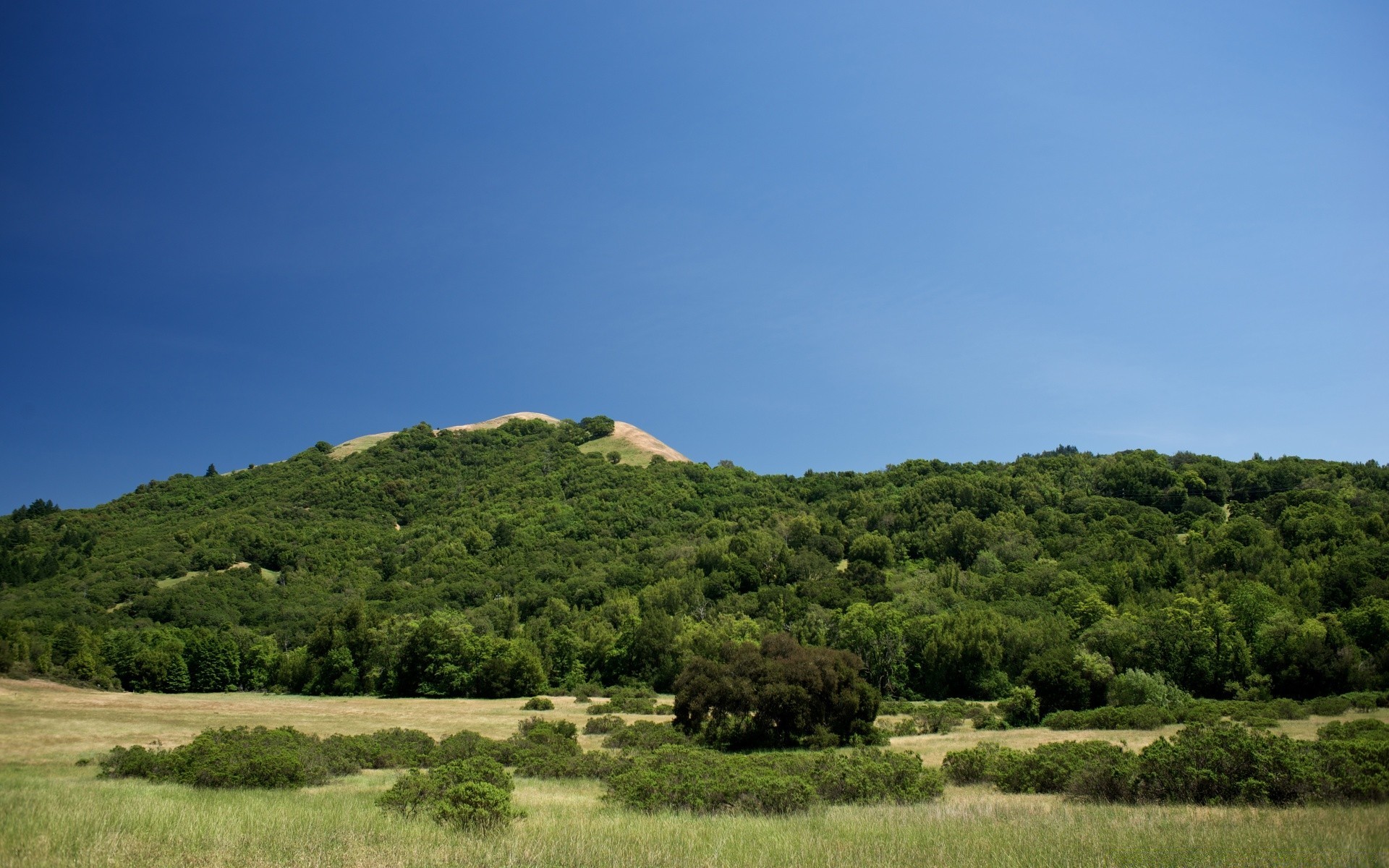 landscapes landscape tree nature sky outdoors agriculture hill travel cropland grass summer countryside rural field