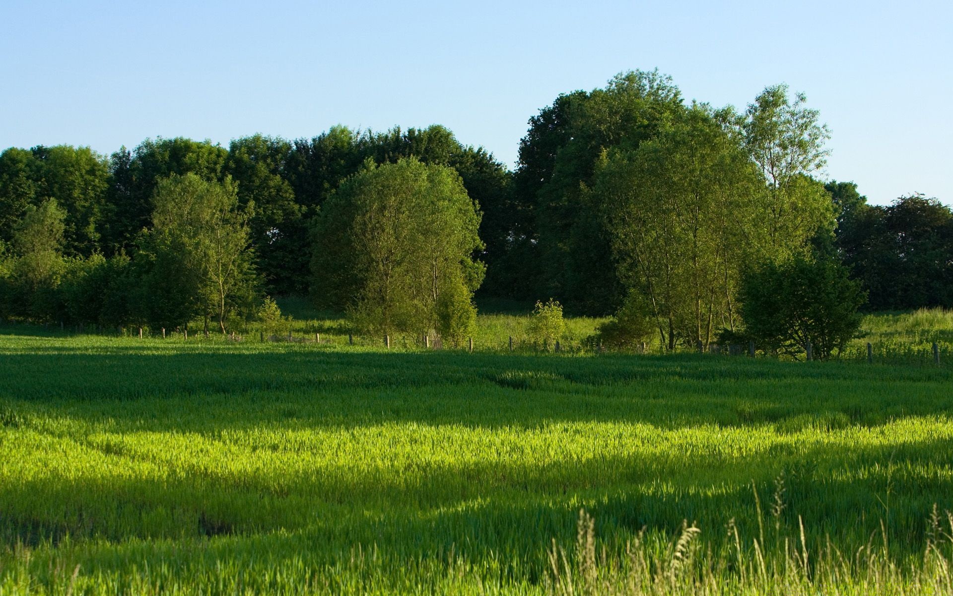 landschaft landschaft feld landwirtschaft des ländlichen sommer natur bauernhof baum gras landschaft im freien heuhaufen weide land umwelt himmel