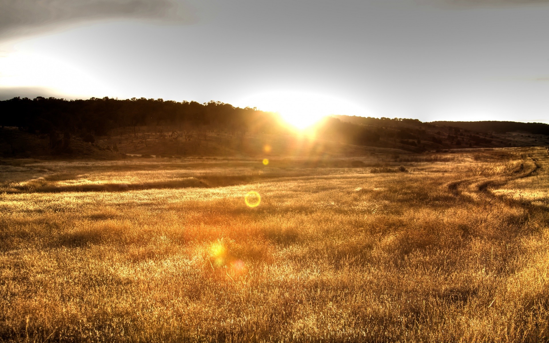 paisaje puesta de sol paisaje amanecer naturaleza cielo sol campo noche al aire libre luz crepúsculo hierba buen tiempo