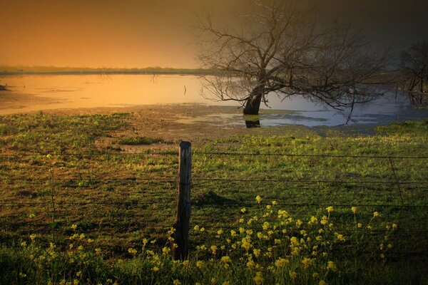 Couleurs dans le champ à côté de l eau et du bois sec