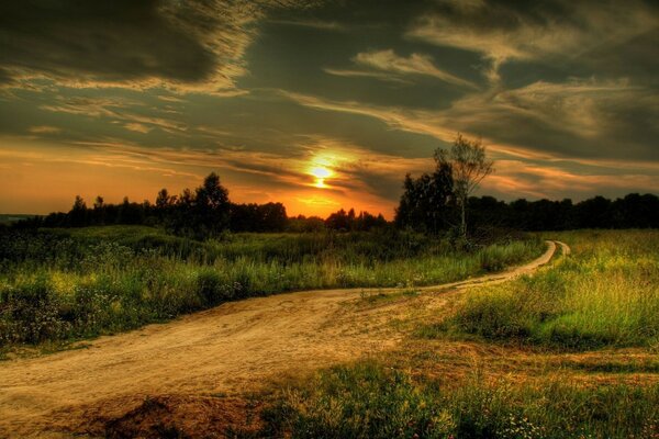 Una strada misteriosa che conduce alla foresta