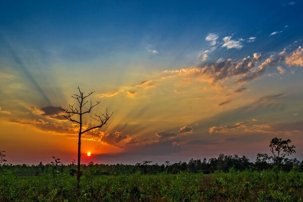 Belo céu, Paisagem com Pôr do sol