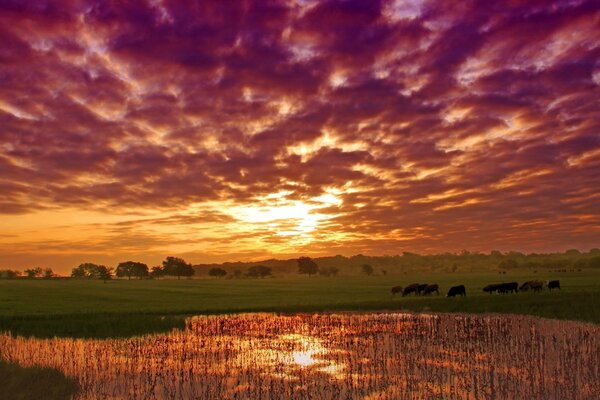 Landschaften der Natur. Himmel bei Sonnenuntergang