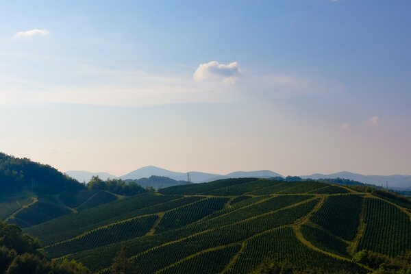 Paysages de terres cultivées dans les montagnes