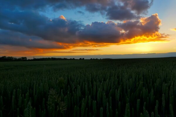 Guarda il tramonto incontra l alba