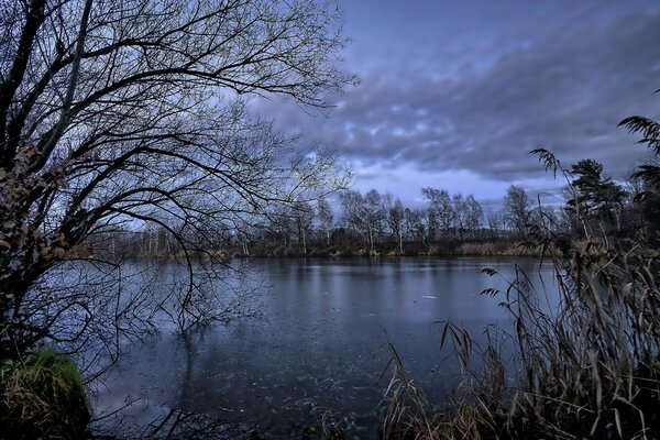 Lake of the autumn forest in the landscape