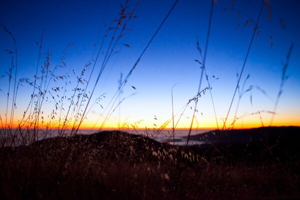 Photo du ciel du soir au-dessus du champ