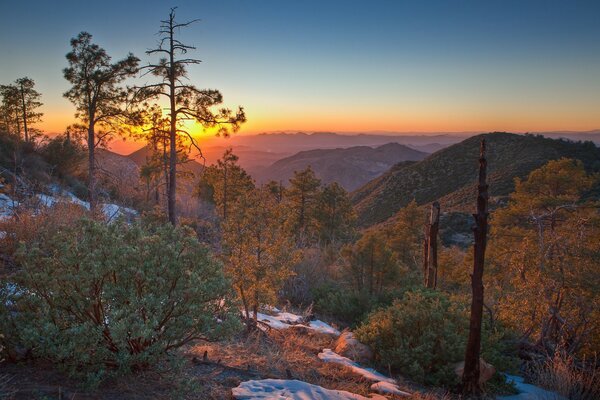 Landscapes of mountain forest nature