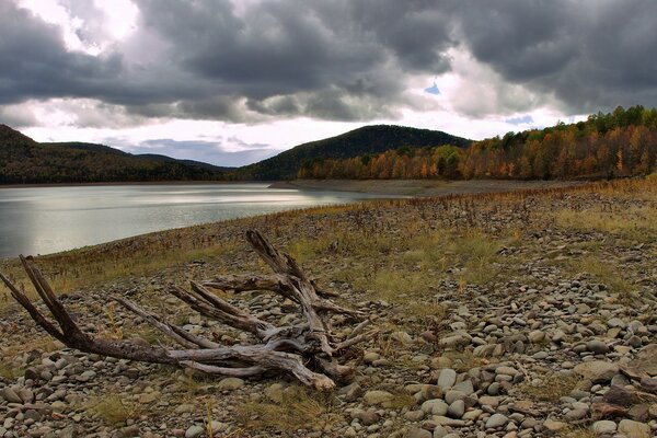 Lac par temps nuageux. Paysage de lac et d arbres