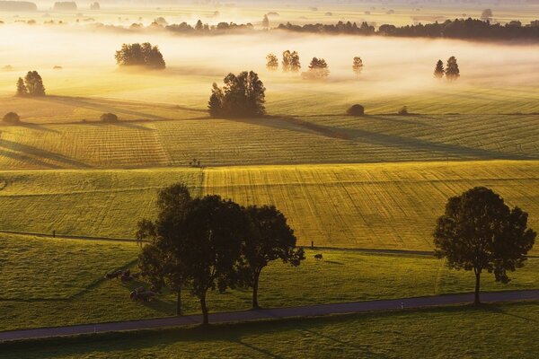 An amazing place a place of silence