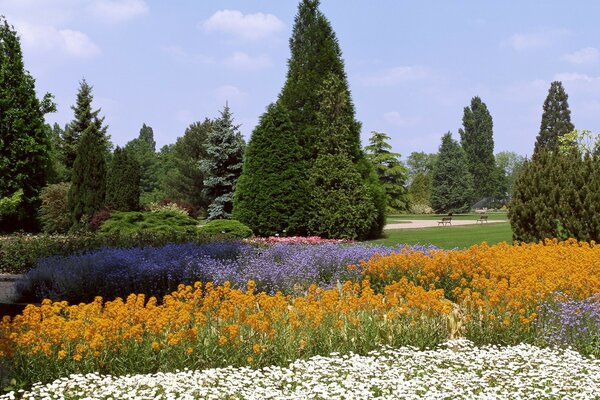 Paysage avec jardin en fleurs et arbres