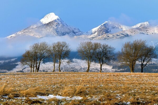 Paysage de montagne. Sommets enneigés