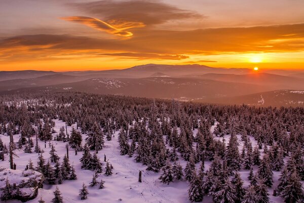 Sonnenuntergang hinter den Bergen Wald Schneewolken