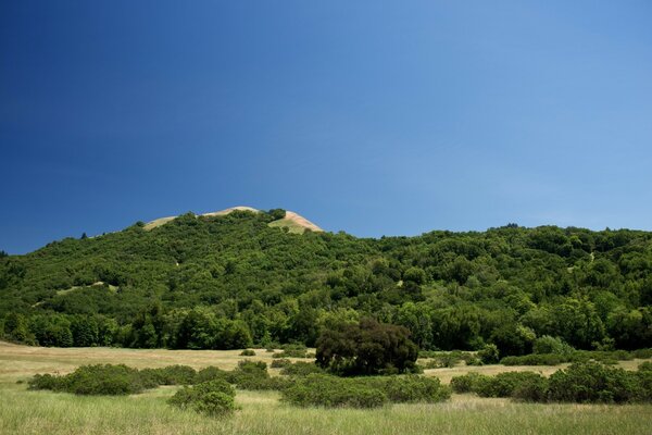 Landschaften des Himmels, der Bäume, der Natur