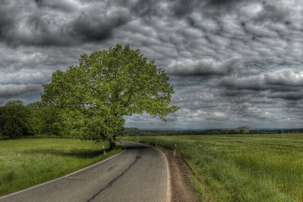 A landscape of gloomy weather, a road with a turn