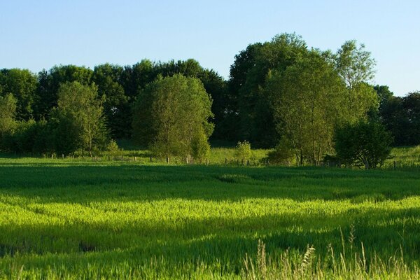 Paisagem pitoresca do campo