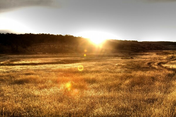 Sunrise in the field, natural landscape