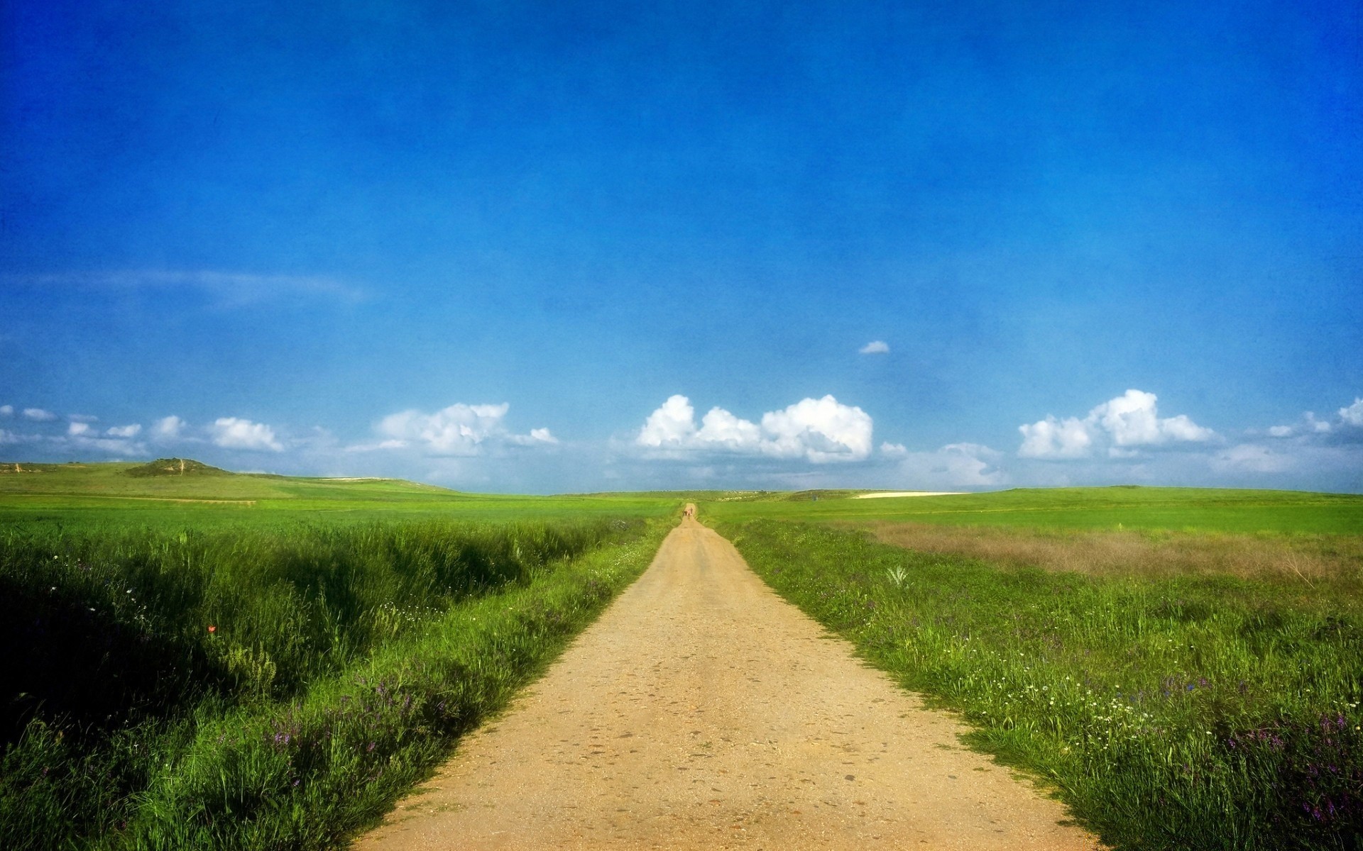 paesaggio rurale erba paesaggio cielo campagna campo natura all aperto estate nuvola strada suolo agricoltura orizzonte sole paese fattoria bel tempo pascolo