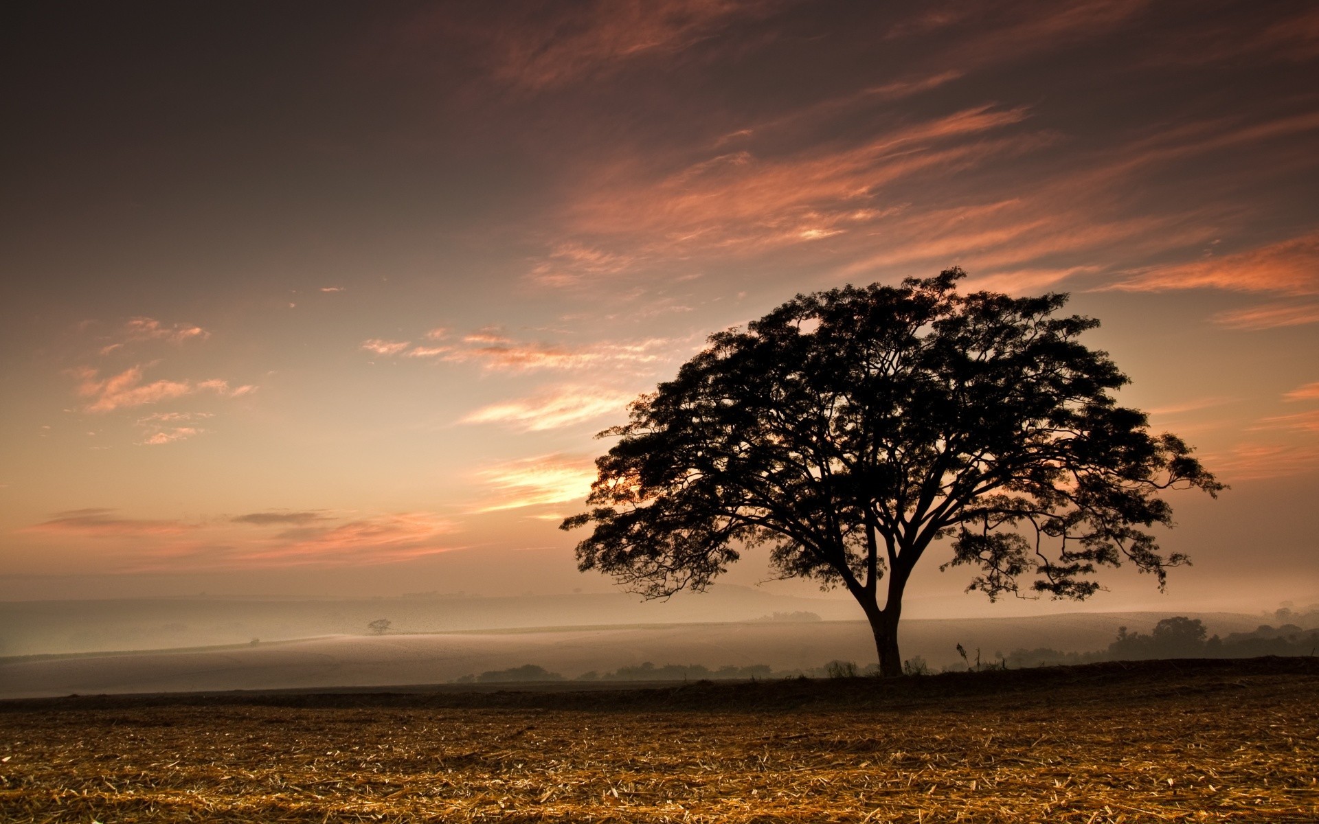 landschaft sonnenuntergang dämmerung sonne abend wasser landschaft dämmerung natur himmel hintergrundbeleuchtung strand