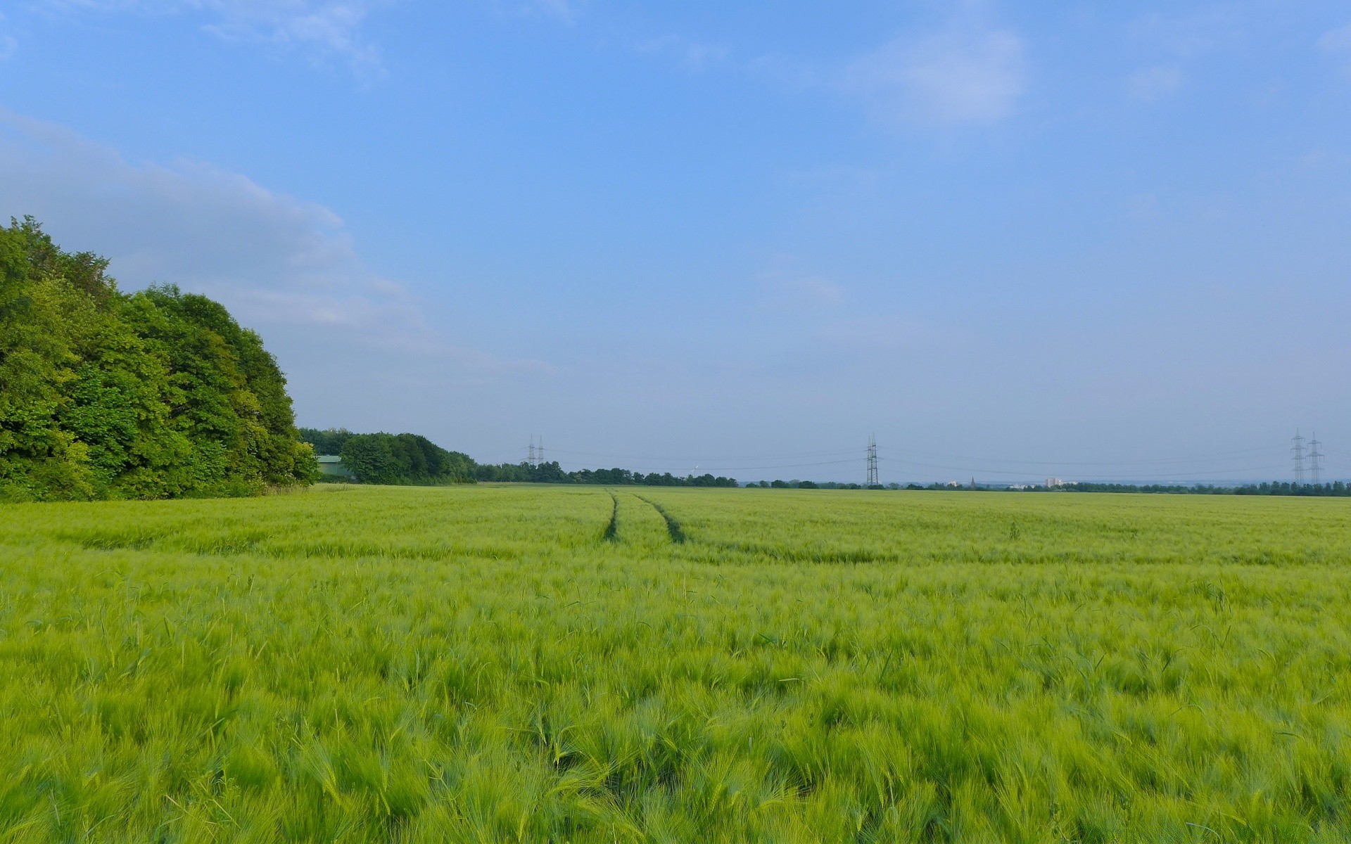 landscapes landscape agriculture field rural farm countryside nature summer pasture grass growth sky outdoors environment crop cropland flora cereal hayfield