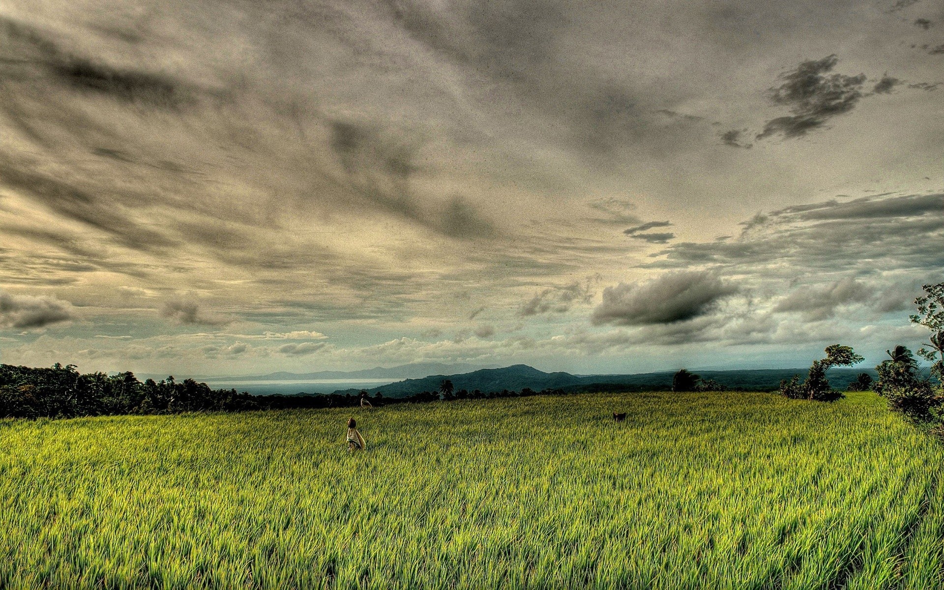 paysage paysage agriculture champ ciel ferme récolte nature terres cultivées rural campagne nuage à l extérieur pâturage arbre flocons coucher de soleil herbe blé tempête