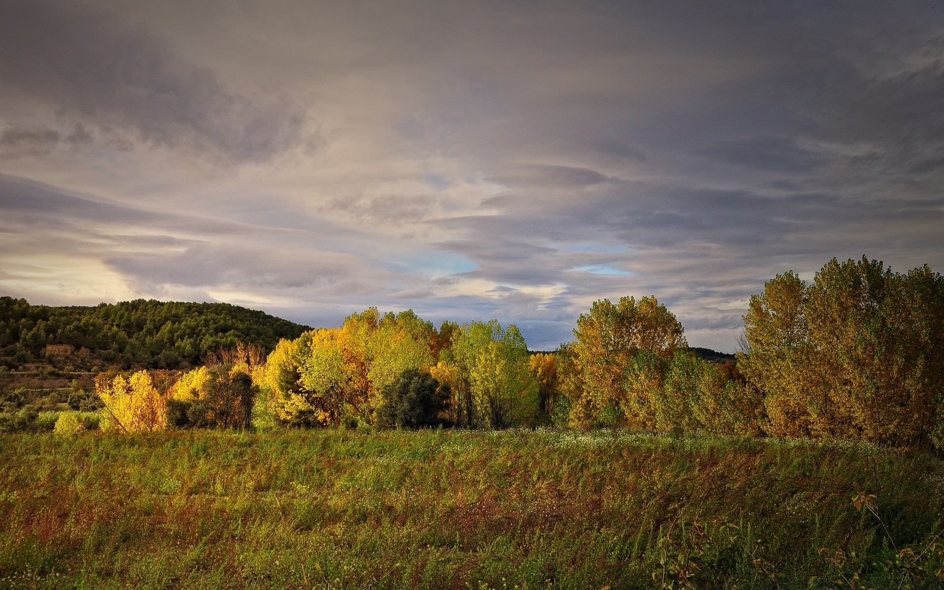 paysage paysage ciel arbre coucher de soleil automne à l extérieur nature herbe aube campagne voyage soir