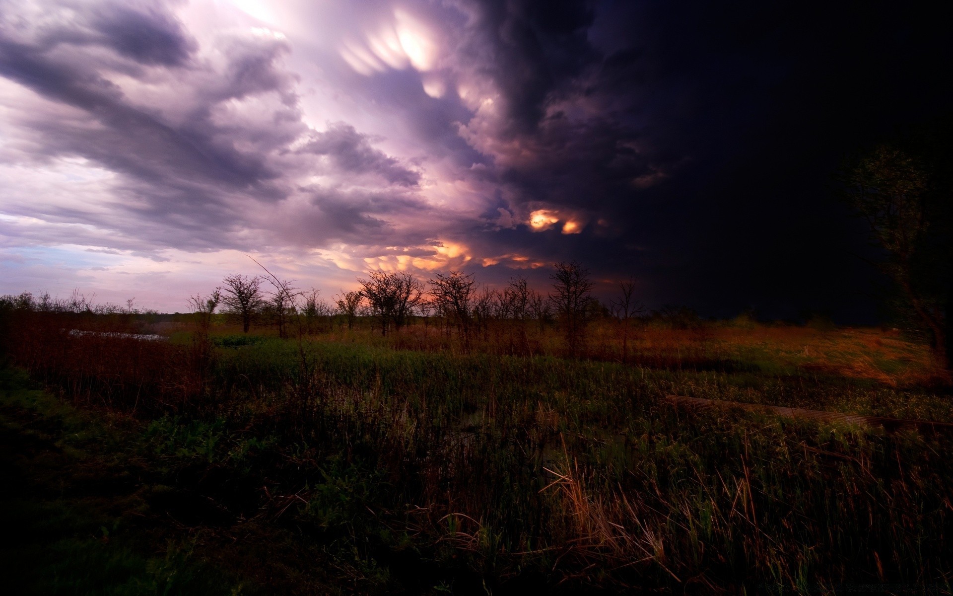 landscapes landscape sunset dawn nature sky tree sun evening light dusk field fall dark grass weather fair weather outdoors