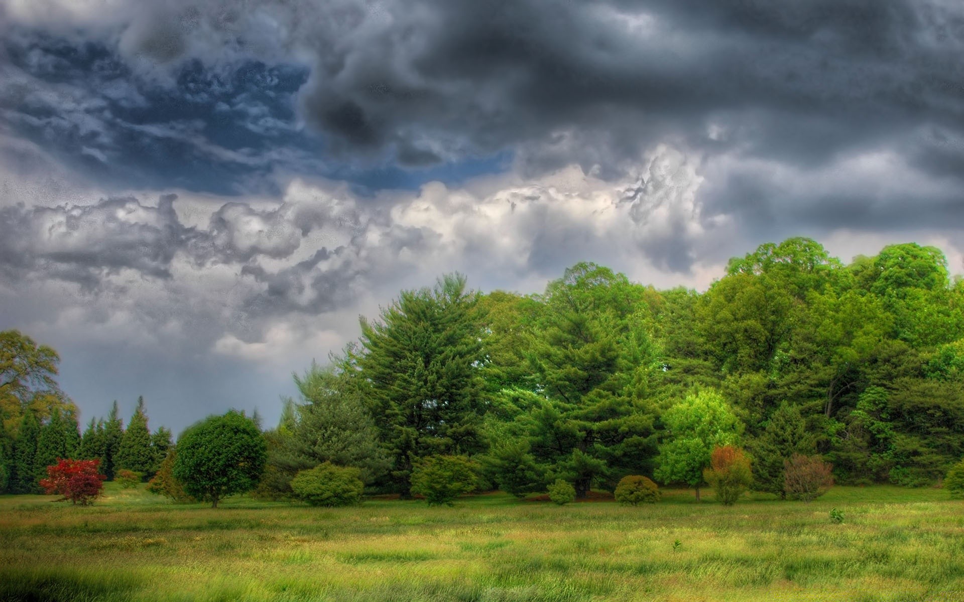 landschaft landschaft natur baum des ländlichen himmel landschaft sommer holz gras im freien feld wolke gutes wetter landschaftlich bewölkt sonne hell