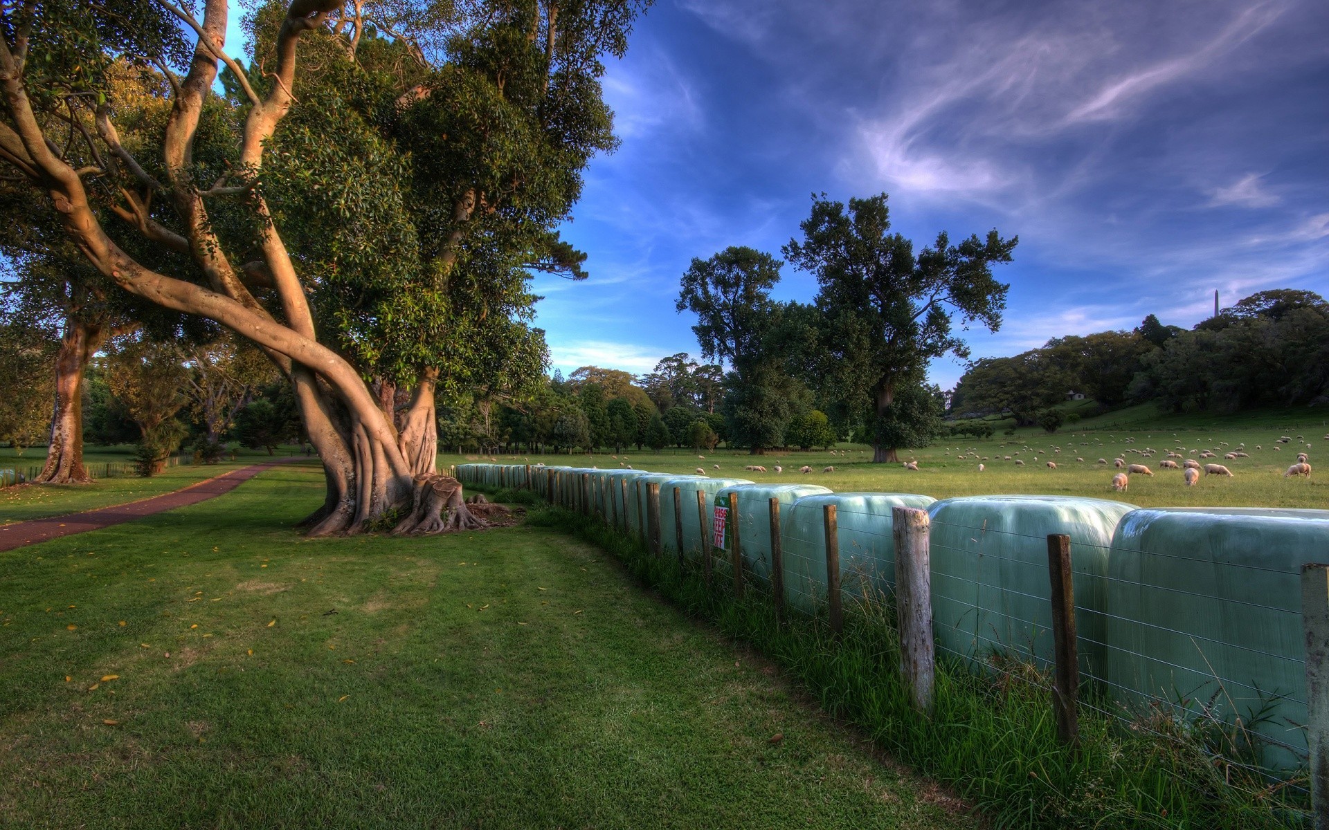 landscapes tree landscape grass outdoors water park nature travel sky wood summer lawn