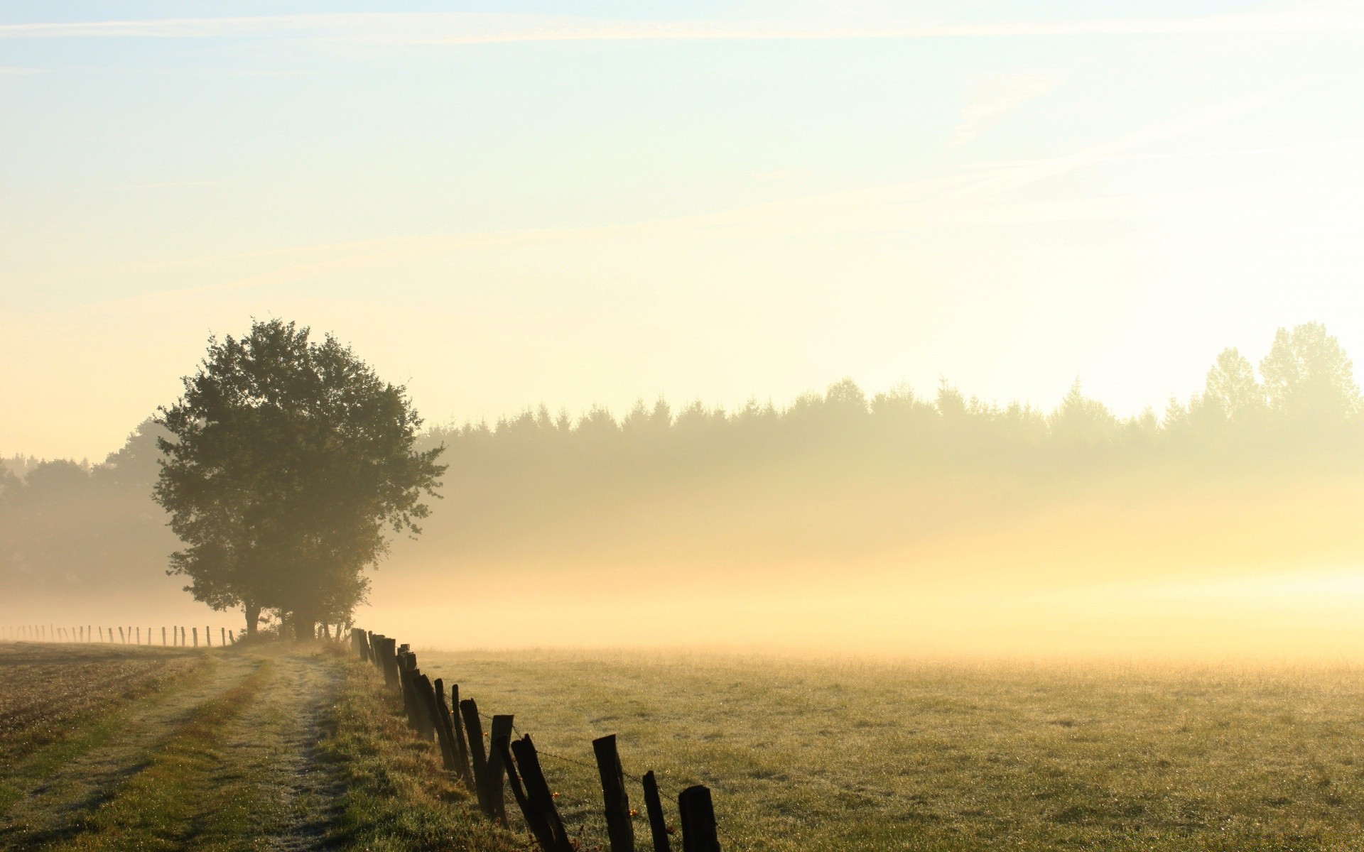 landschaft sonnenuntergang dämmerung landschaft sonne himmel nebel natur im freien nebel abend dämmerung gutes wetter wasser landschaft sommer baum gras