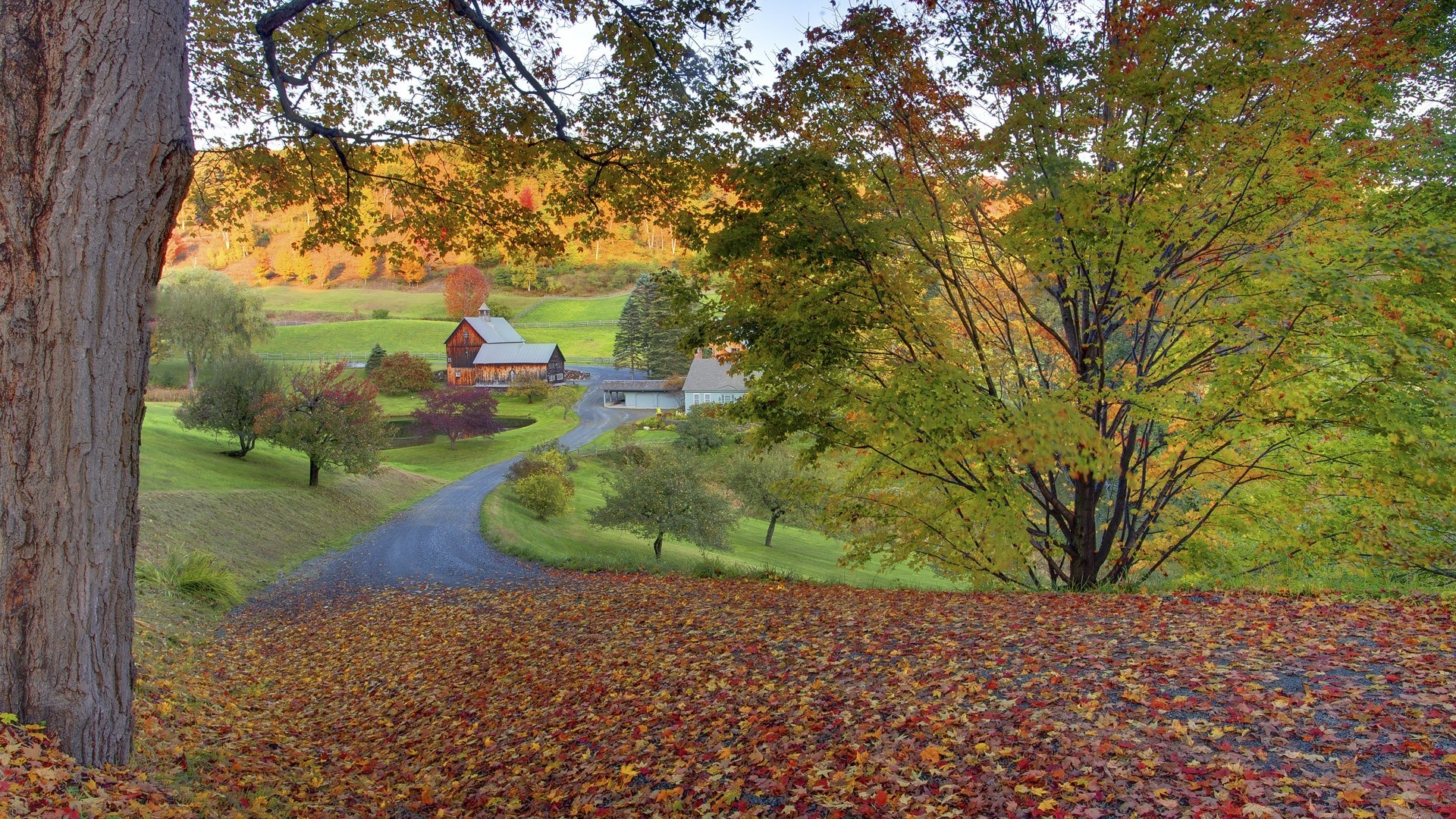 paisagens árvore outono folha paisagem parque madeira ao ar livre cênica natureza temporada ambiente estrada luz do dia maple guia